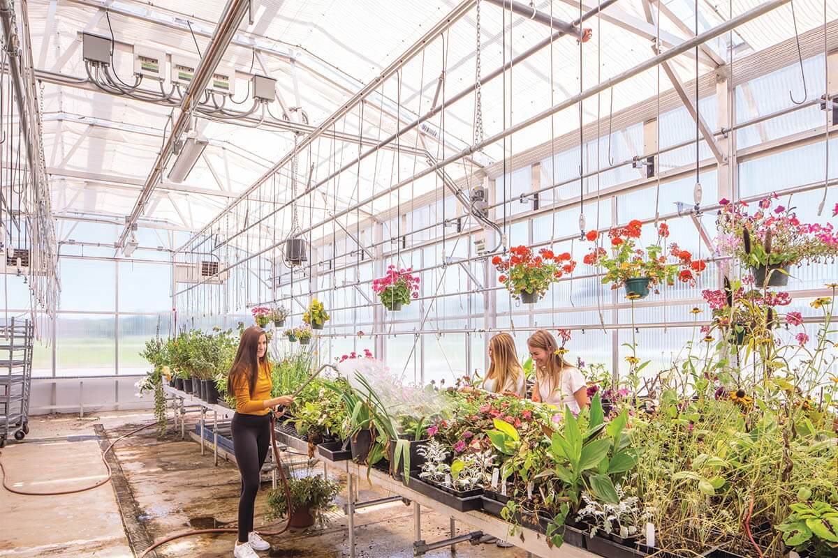 Forest Lake Area Schools Greenhouse